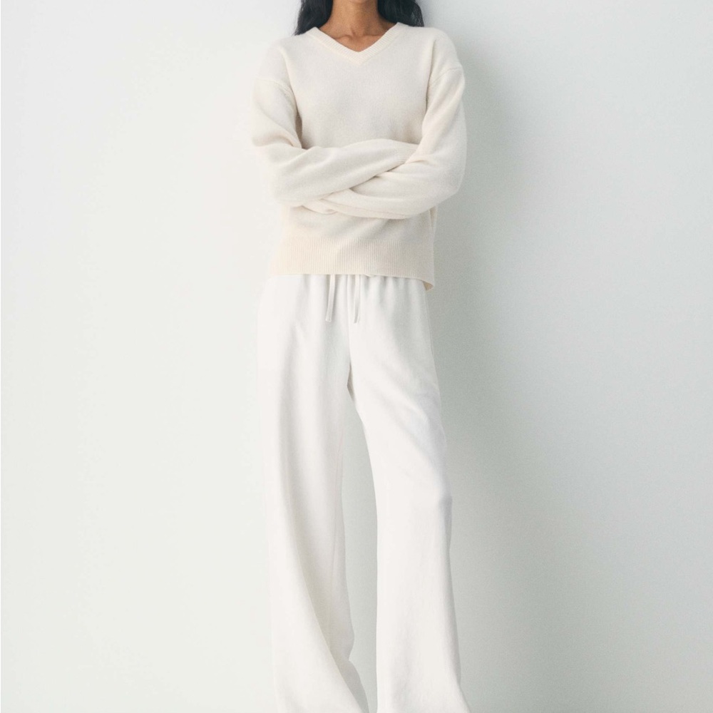 Aritzia Birch Lodge Wide Leg Pants